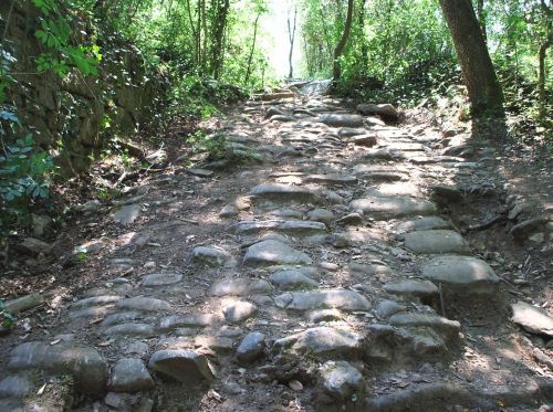 Via Cassia Roman road near Cintoia